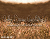 Dreamy Wheat Field (BD)