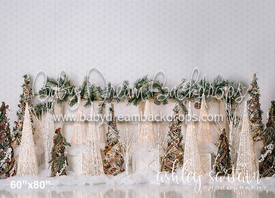 Dreamy Winter Trees (AH)