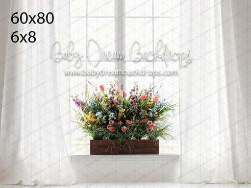 Dreamy Window Blooms