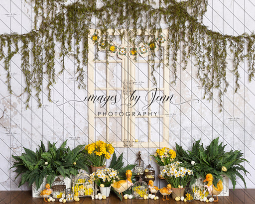 Ducks and Daffodils (JG)