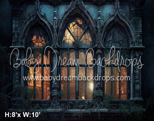 Eerie Mansion Windows (SM)