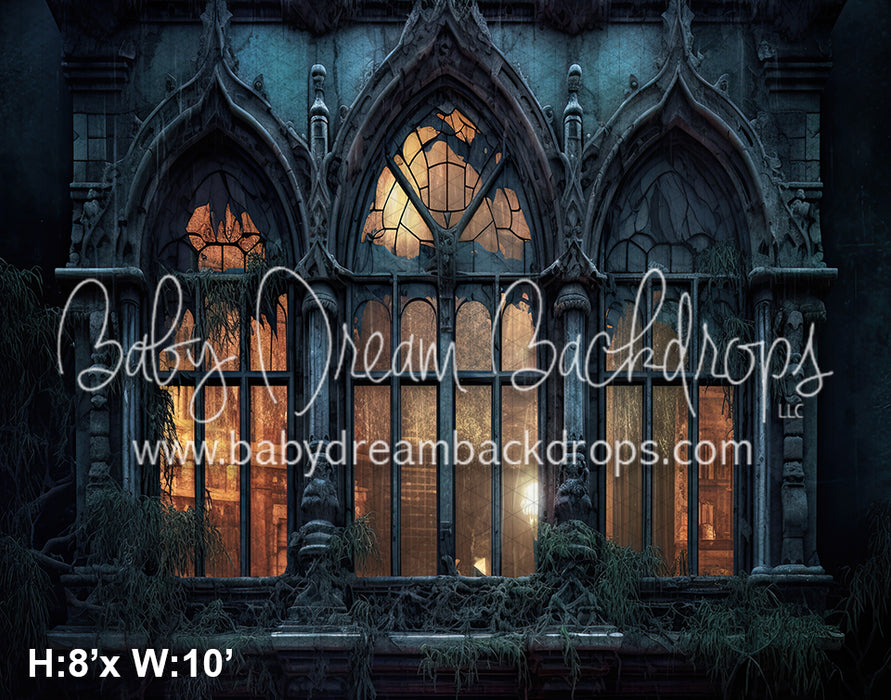 Eerie Mansion Windows (SM)