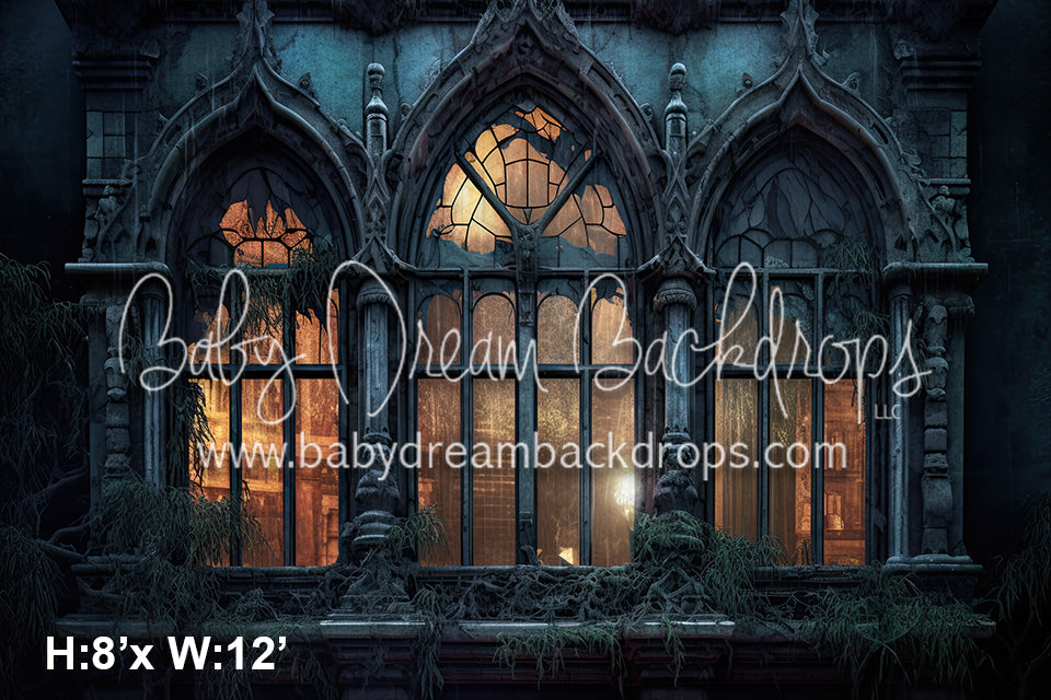 Eerie Mansion Windows (SM)
