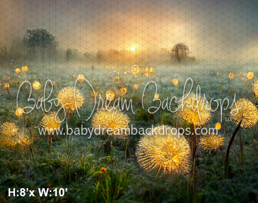 Enchanted Dandelions (SM)