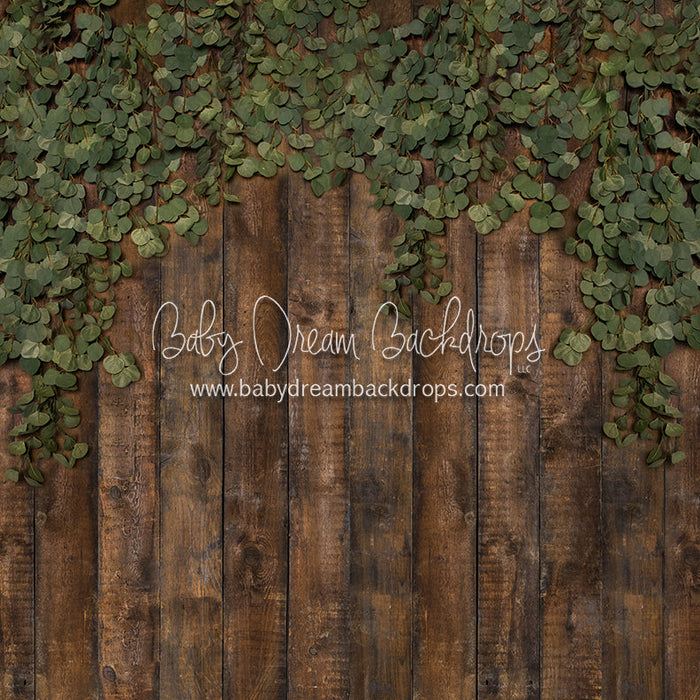 X Drop eucalyptus archer