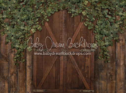 Eucalyptus Archer Door