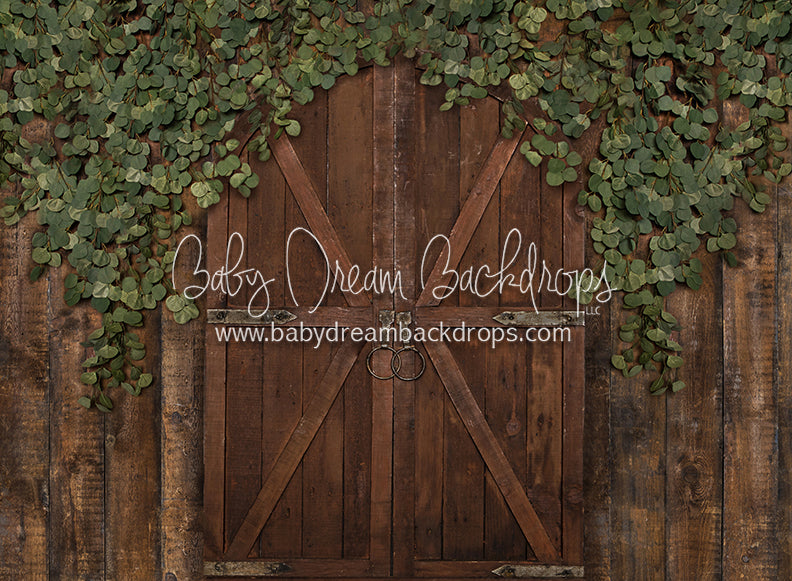Eucalyptus Archer Door