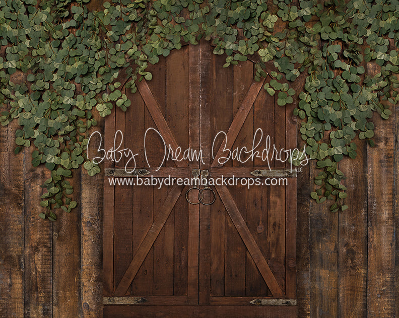 Eucalyptus Archer Door