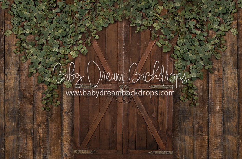 Eucalyptus Archer Door