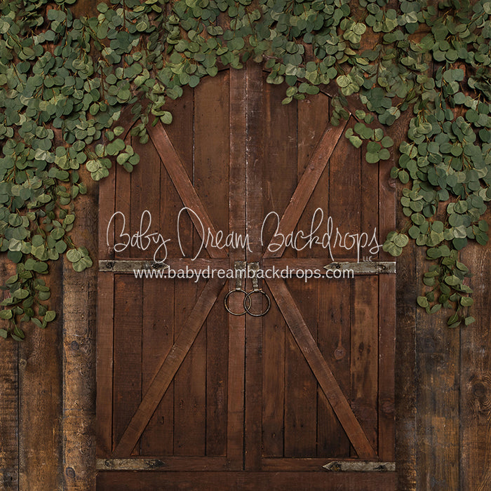 Eucalyptus Archer Door