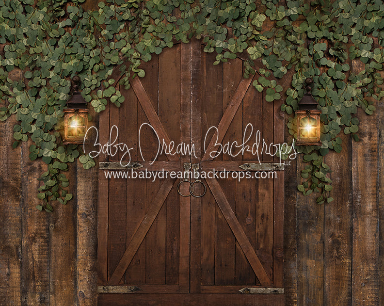 Eucalyptus Archer Door (Lights)