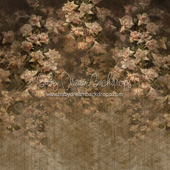 X Drop euphoria rose