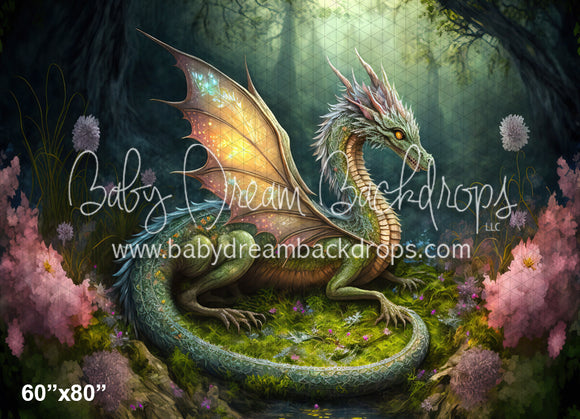 Fairy Dragon Forest (MD)