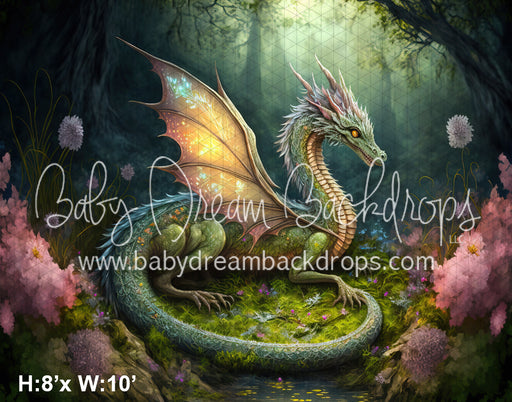 Fairy Dragon Forest (MD)