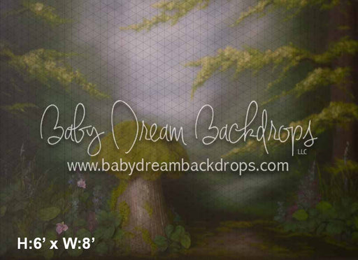 Fairy Moss Mushroom (KS)