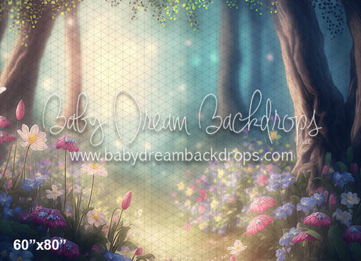 Fairy Spring Forest (MD)