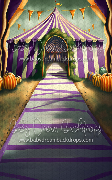 Fall Carnival Sweep (MD)