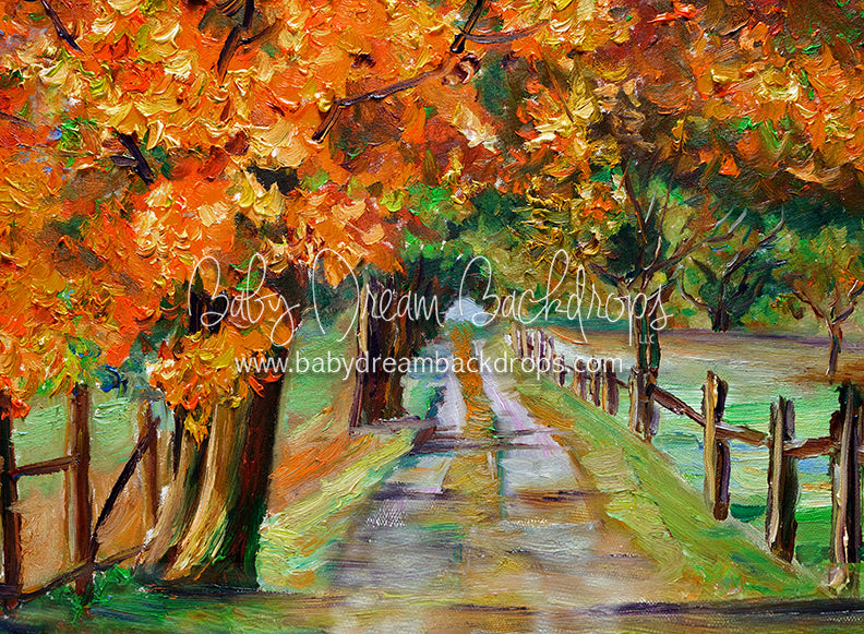 Fall Country Road 
