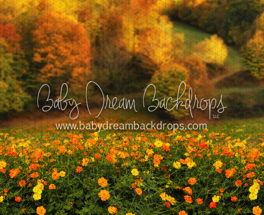 Fall Floral Field (CC)