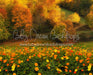 Fall Floral Field (CC)