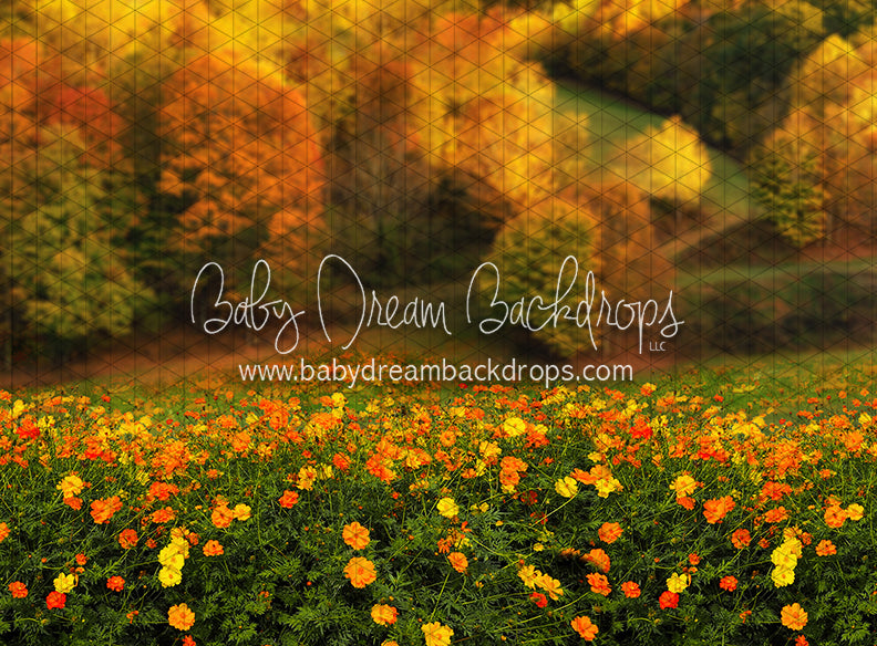 Fall Floral Field (CC)