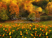 Fall Floral Field (CC)