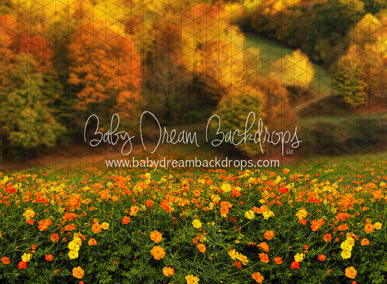 Fall Floral Field (CC)