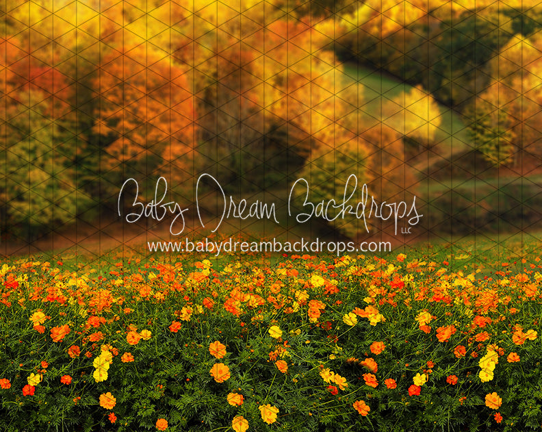 Fall Floral Field (CC)