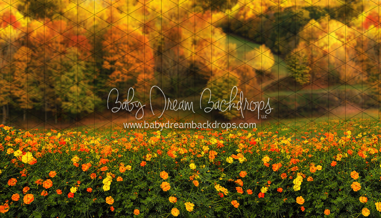 Fall Floral Field (CC)