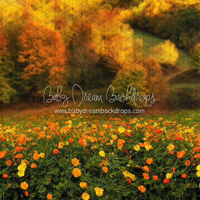 Fall Floral Field (CC)