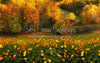 Fall Floral Field (CC)