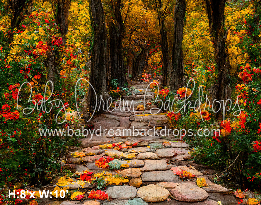 Fall Foliage Path (BD)