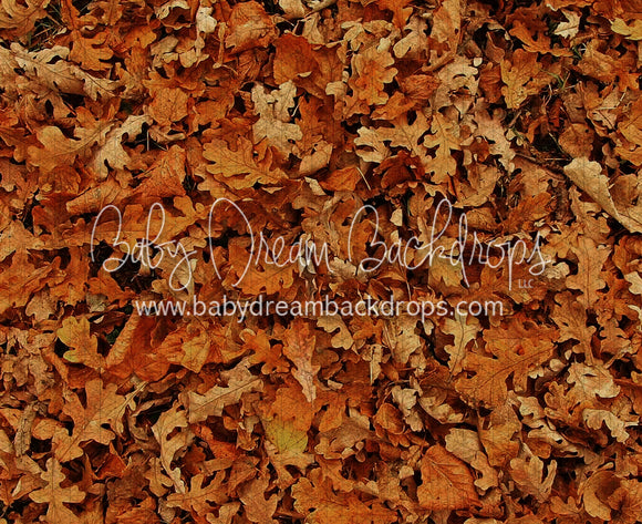 Fall Hike Leaves Fabric Floor (CC)
