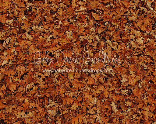 Fall Hike Leaves Fabric Floor (CC)