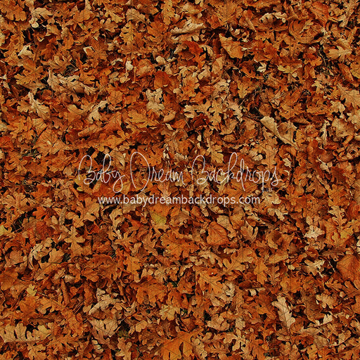 Fall Hike Leaves Fabric Floor (CC)