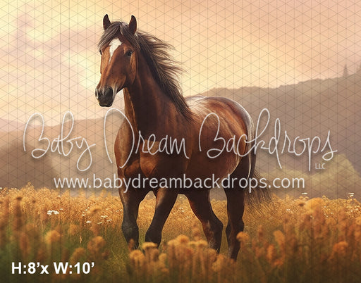 Fall Horse Pasture (AZ)