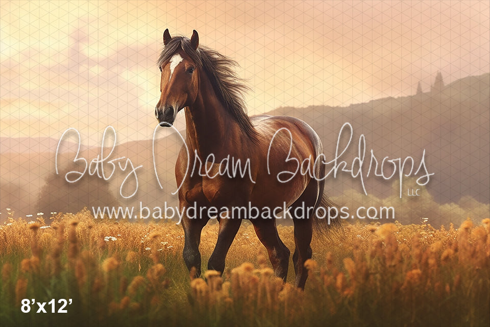 Fall Horse Pasture (AZ)