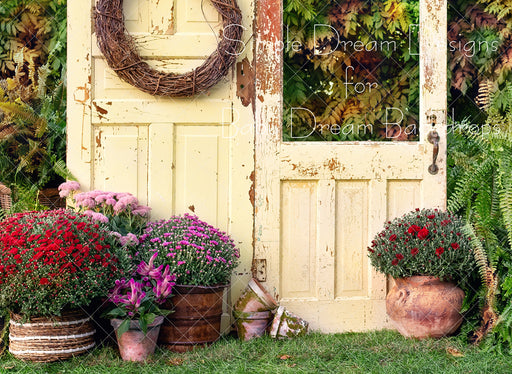 Fall Mums And Yellow Doors