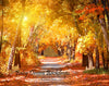 Fall Path (SP)