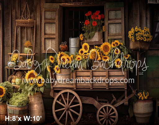 Fall Sunflower Stand (SM)