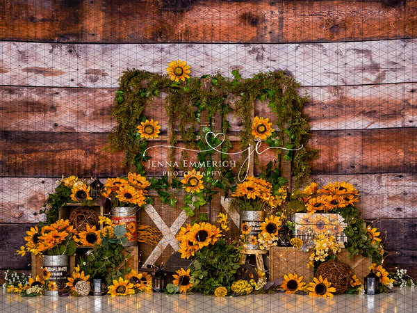 Fall Sunflowers