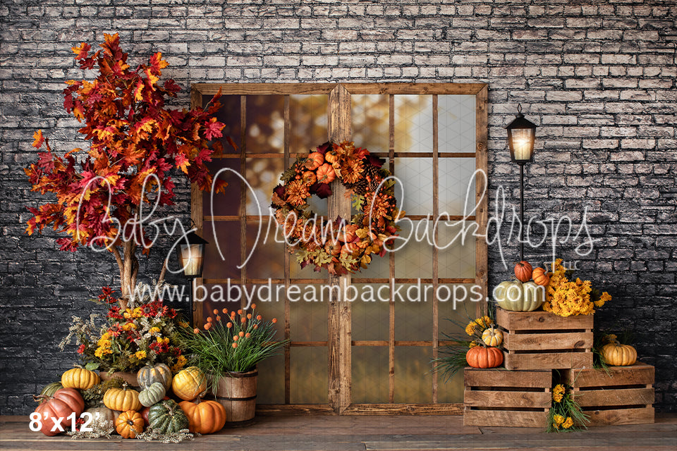 Fall Window with background (VR)