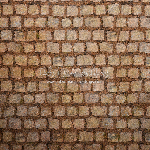 Fall Stone Floor 8x8