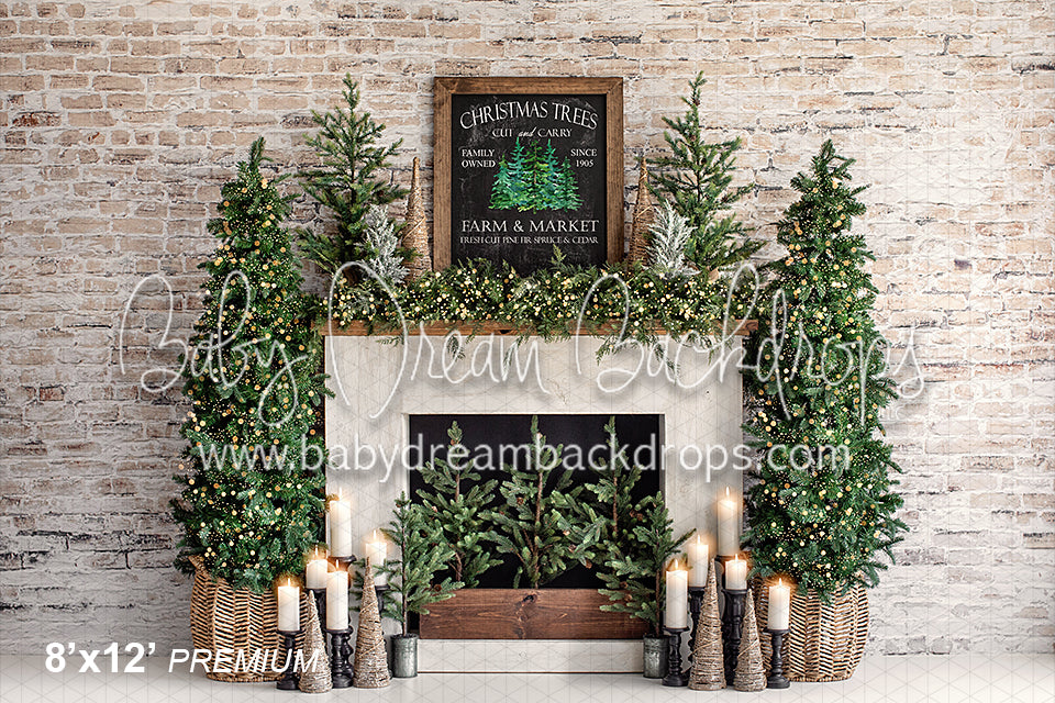 Farm and Market Cedar