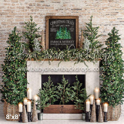 Farm and Market Cedar