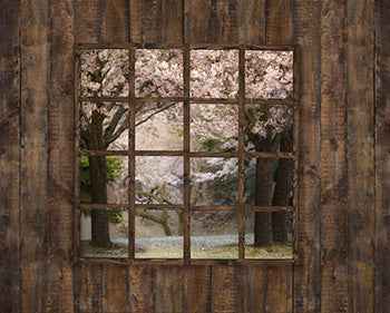 Farmhouse in the Spring Window — Baby Dream Backdrops