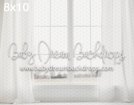 February 14 Window