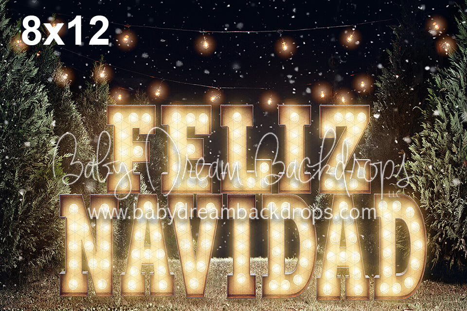 Feliz Navidad Para Todos