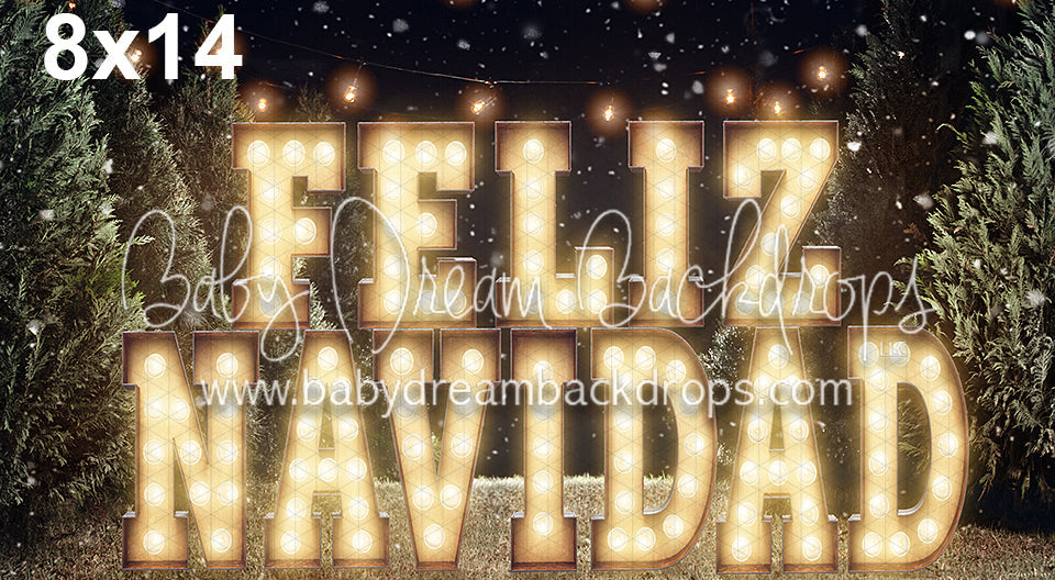 Feliz Navidad Para Todos