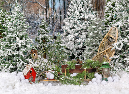 Fern Sleigh
